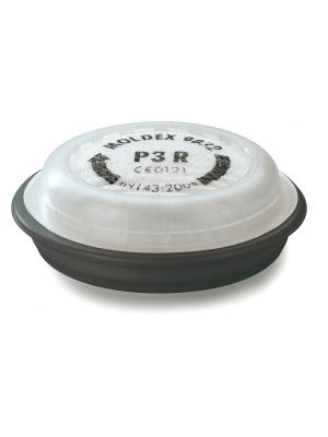 Moldex P3 + Ozone Particulate Filters